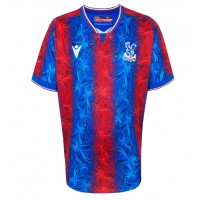 Crystal Palace Replica Home Shirt 2024-25 Short Sleeve